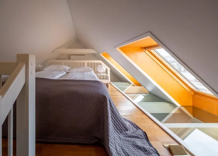 明道加斯国王公寓 考纳斯