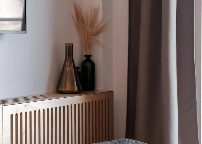 公寓 明道加斯国王公寓 考纳斯