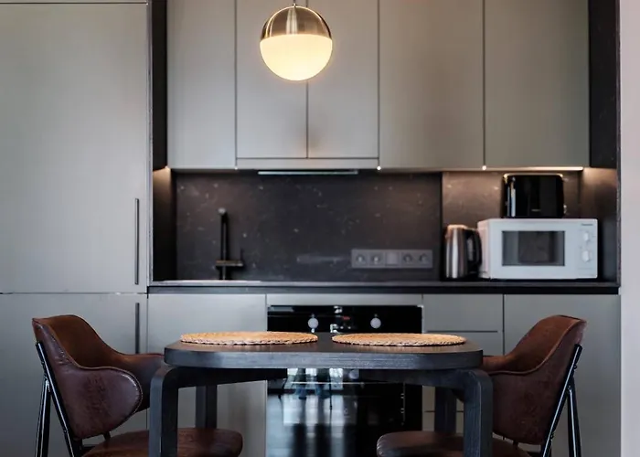 明道加斯国王公寓 考纳斯