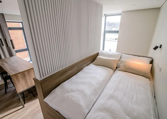 公寓 明道加斯国王公寓 考纳斯