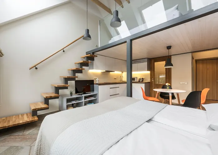 明道加斯国王公寓 公寓 考纳斯