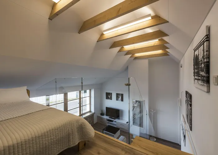 明道加斯国王公寓 考纳斯