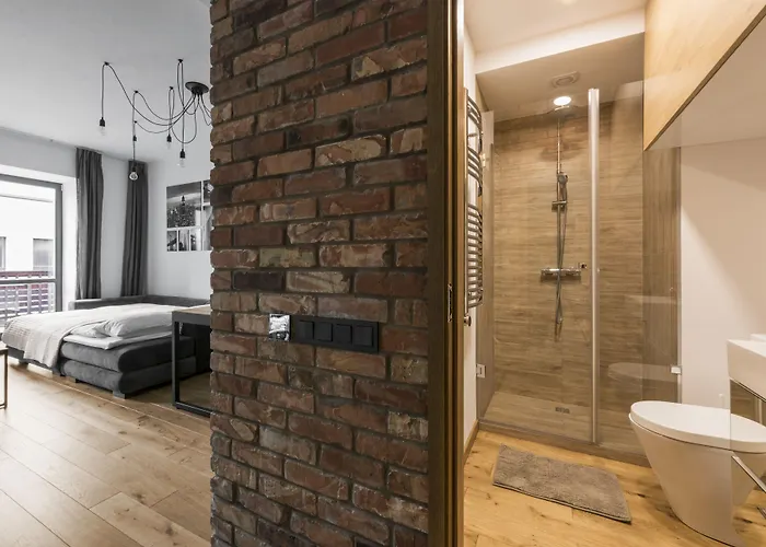 公寓 明道加斯国王公寓 *