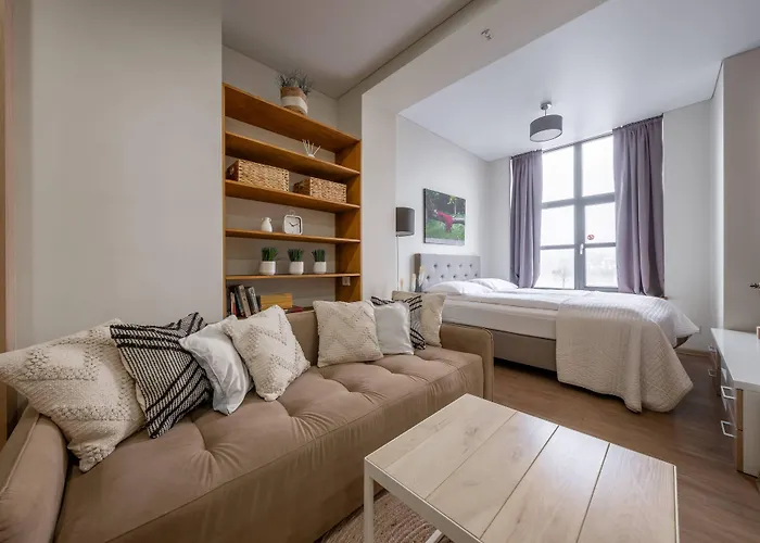 明道加斯国王公寓 考纳斯