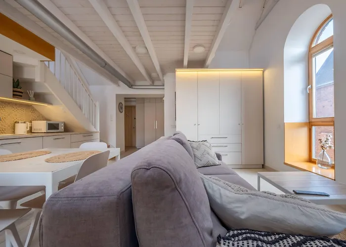 明道加斯国王公寓 考纳斯